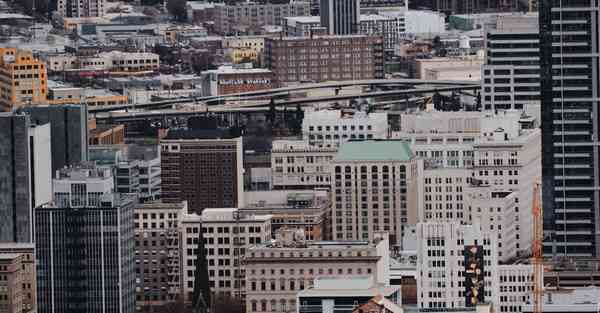 外国语单招大数据的行业文章