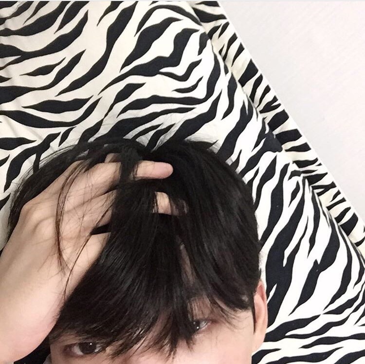 怀芬朋玉