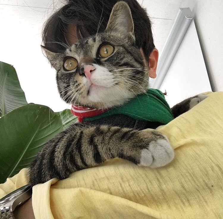 徐离哲江宇