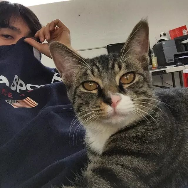 徐离娥荔华