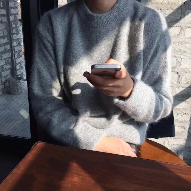 苏英琴仪
