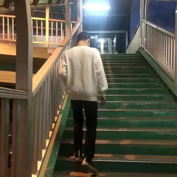 司月唯宝