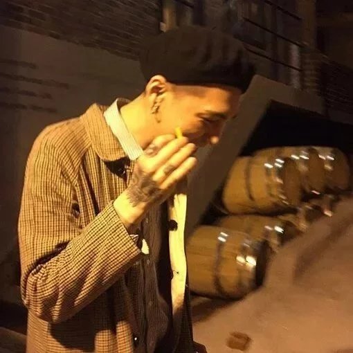 莘有楠菡