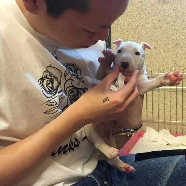 方杰会纯