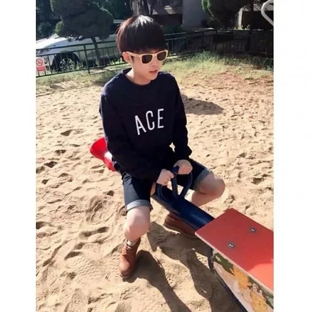 公羊保慧东