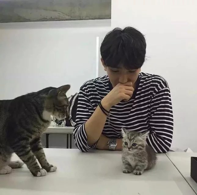 张中骅航